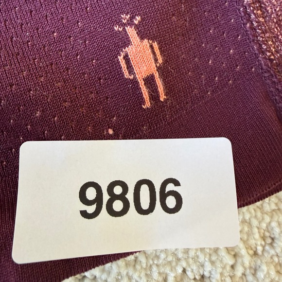 Smartwool Intraknit 250 Hoodie Womens L Maroon Excellent Merino Wool Pullover - Picture 10 of 10